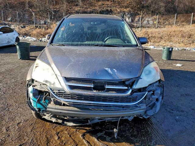 Honda Crv Exl Image 9