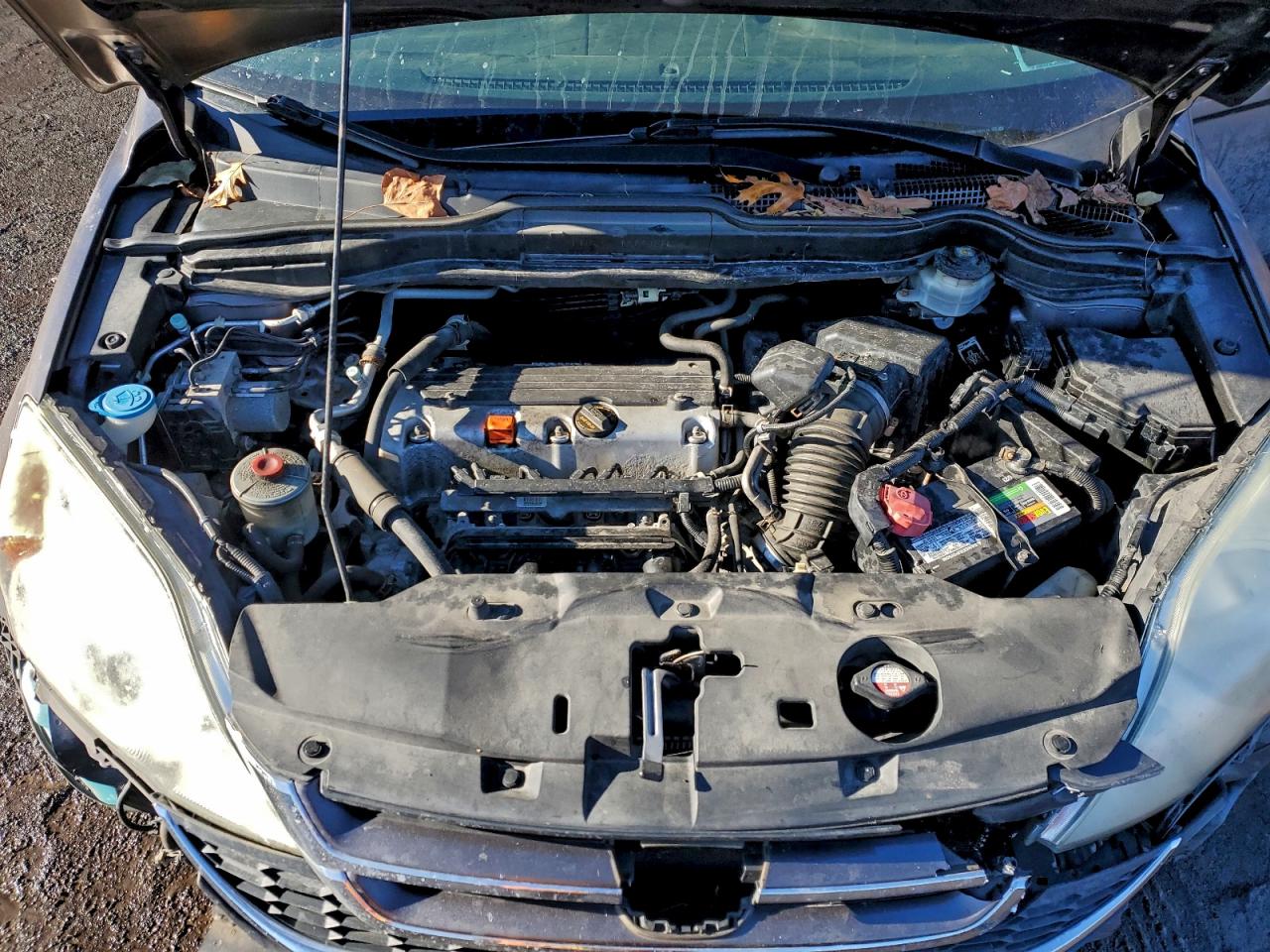 Honda Crv Exl Image 8