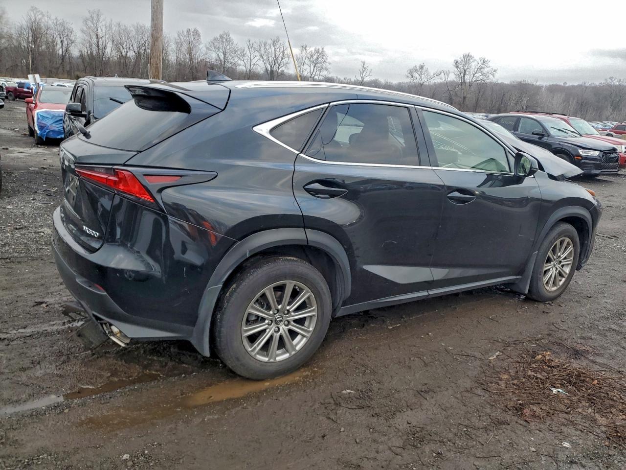 Lexus NX 300 Base Image 4