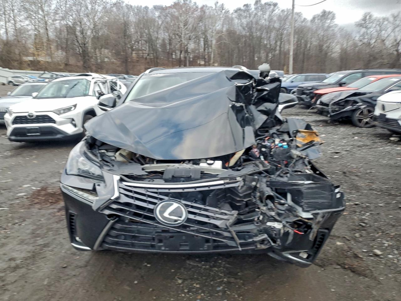 Lexus NX 300 Base Image 3