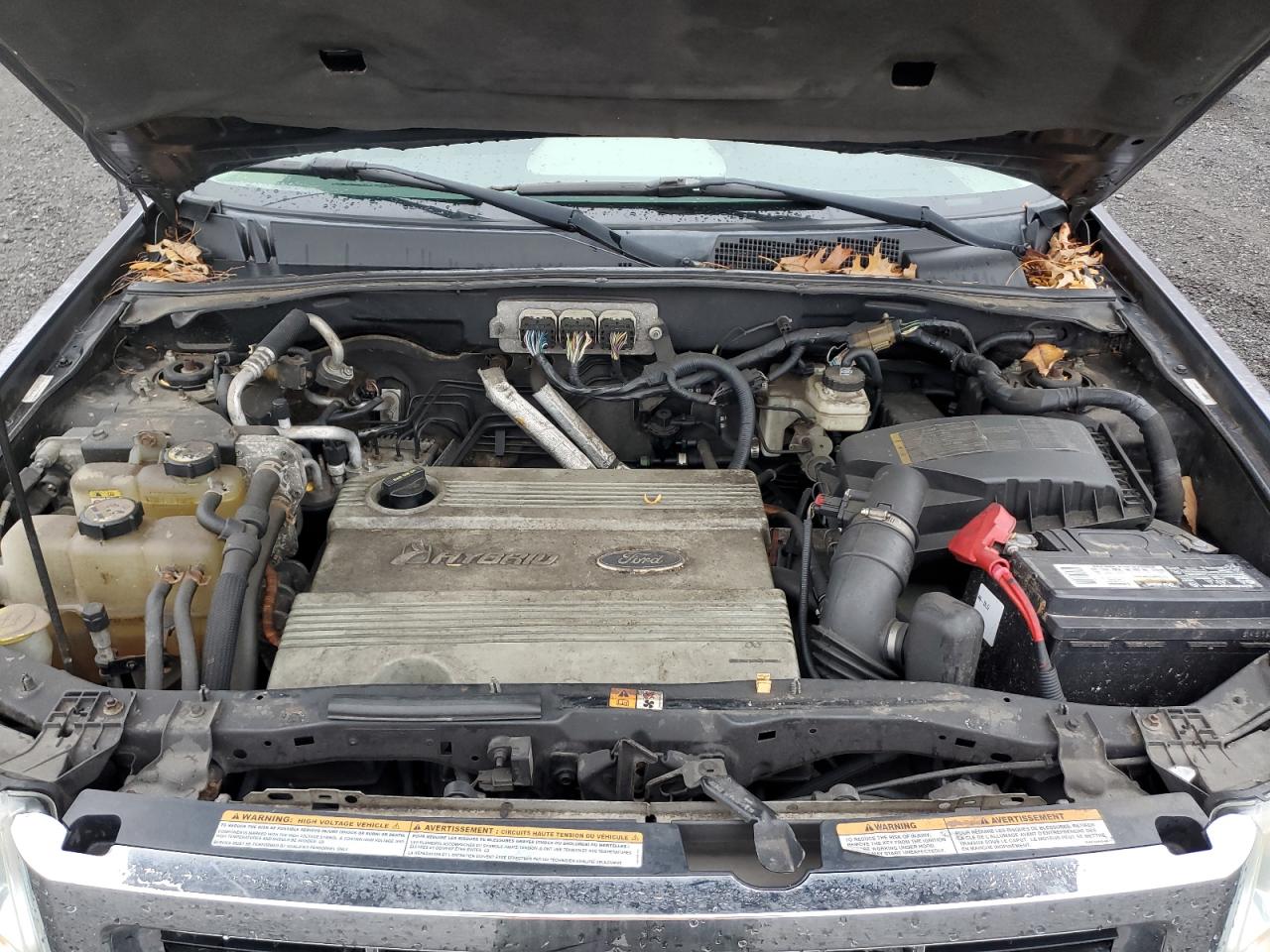 Ford Escape Hev Image 8