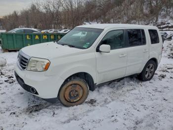  Salvage Honda Pilot