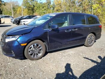  Salvage Honda Odyssey