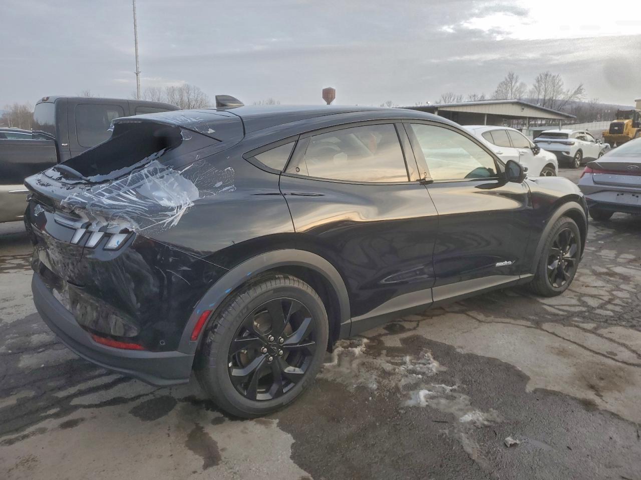 Ford Mustang Select Image 13