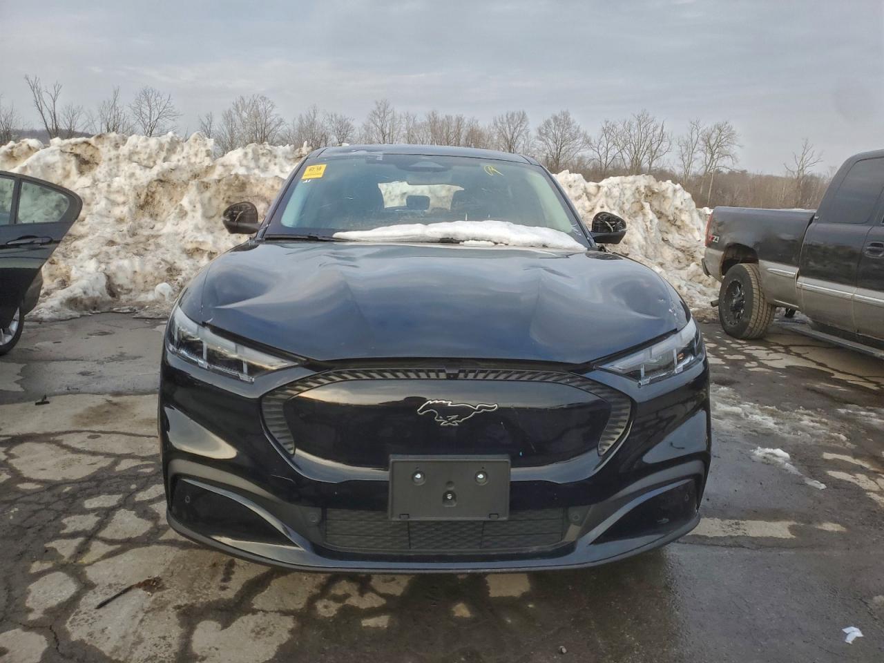 Ford Mustang Select Image 2