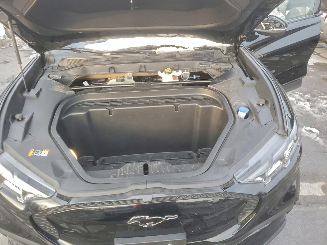 Ford Mustang Select Image 4