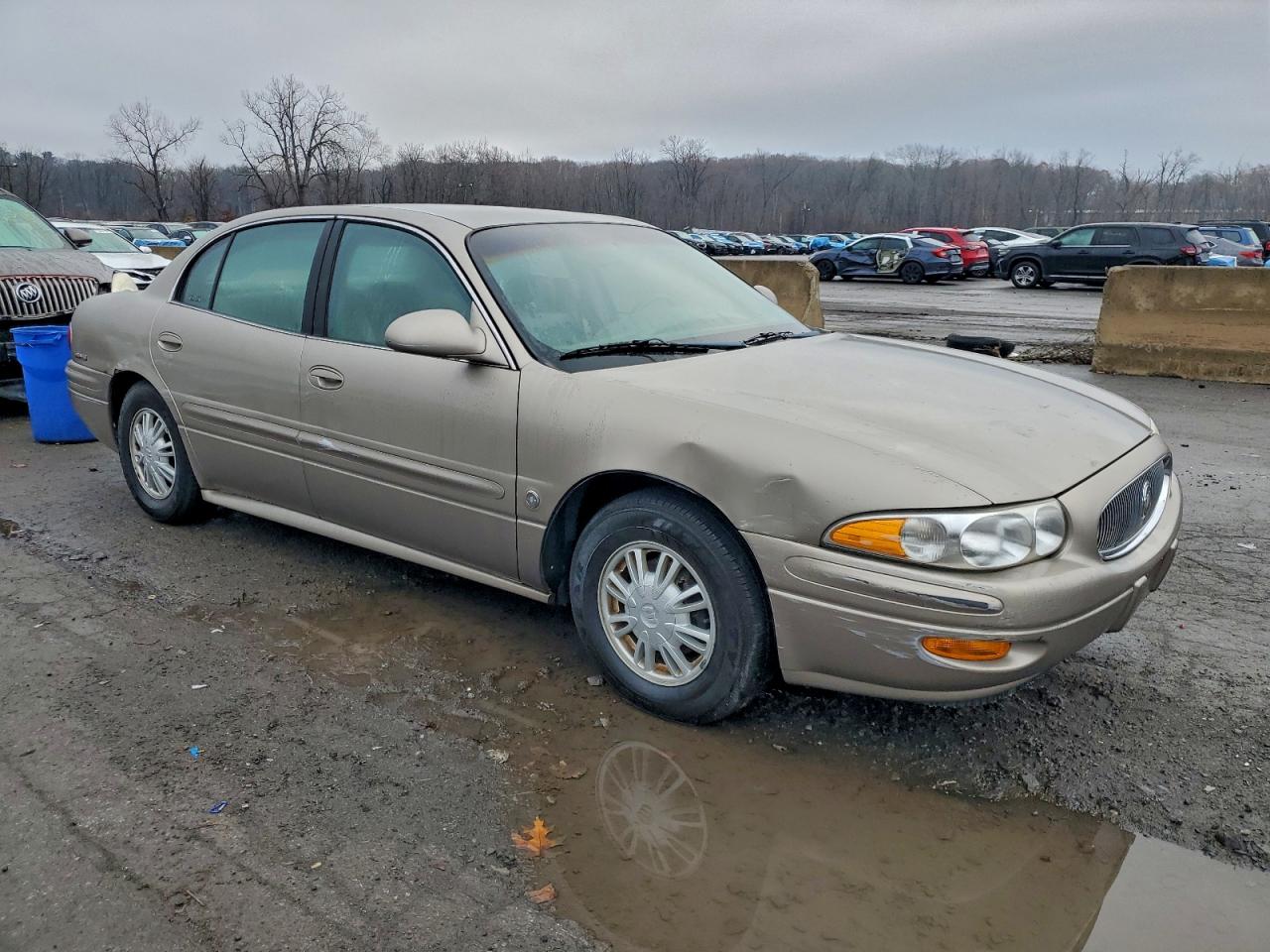 Buick LeSabre Custom Image 8
