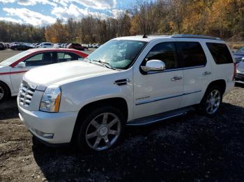  Salvage Cadillac Escalade