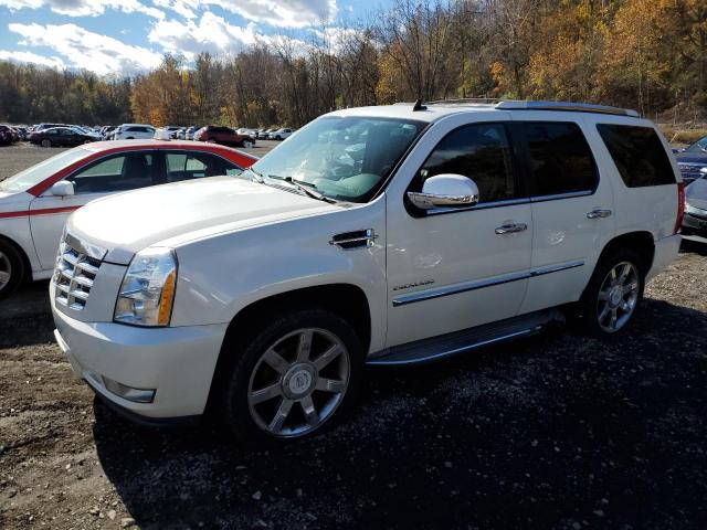  Salvage Cadillac Escalade