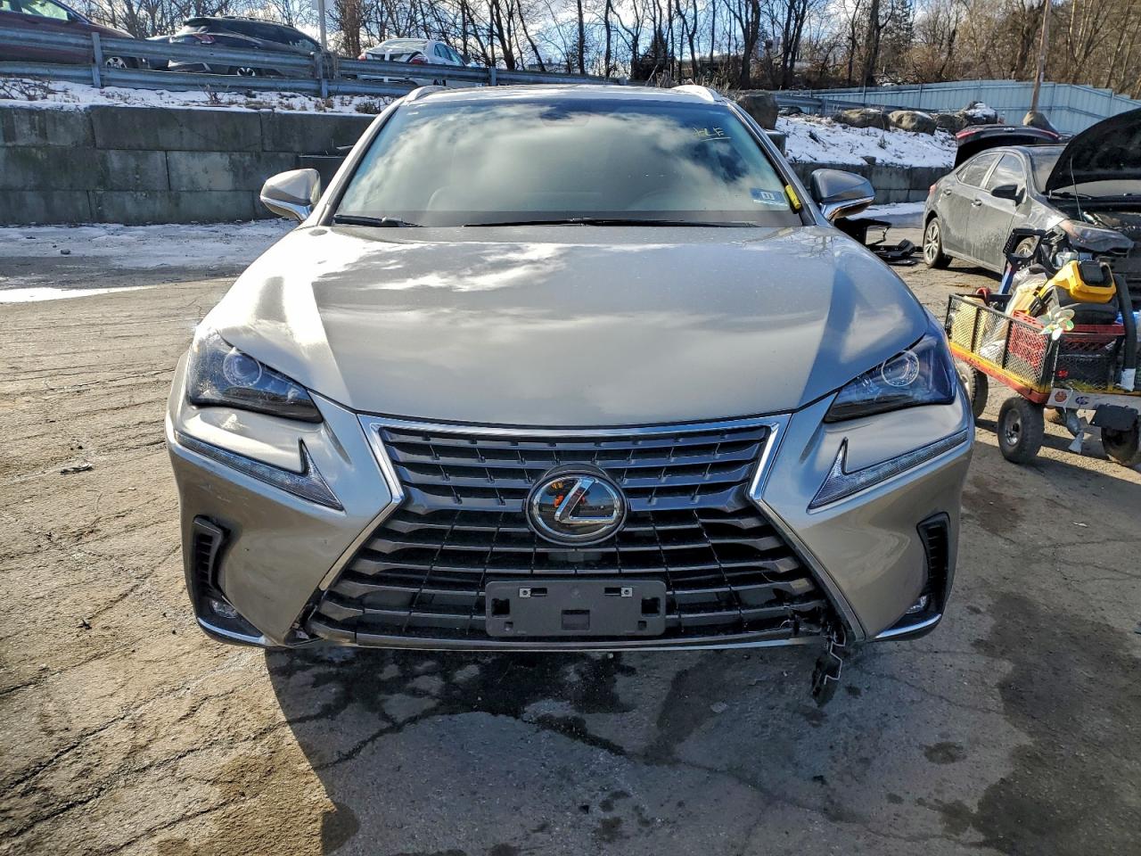 Lexus NX 300 Base Image 6