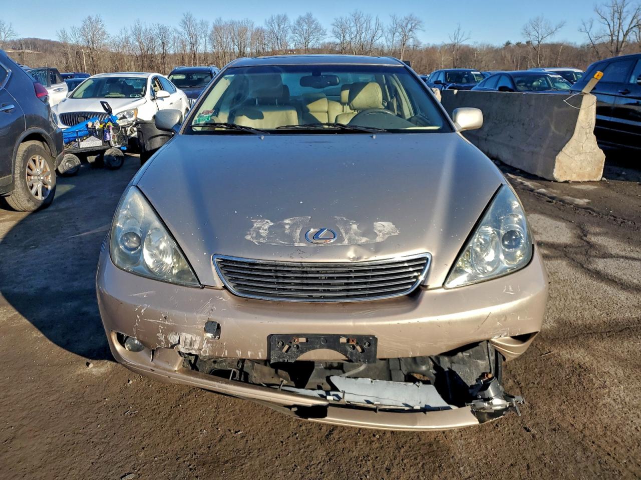 Lexus Es 330 Image 12