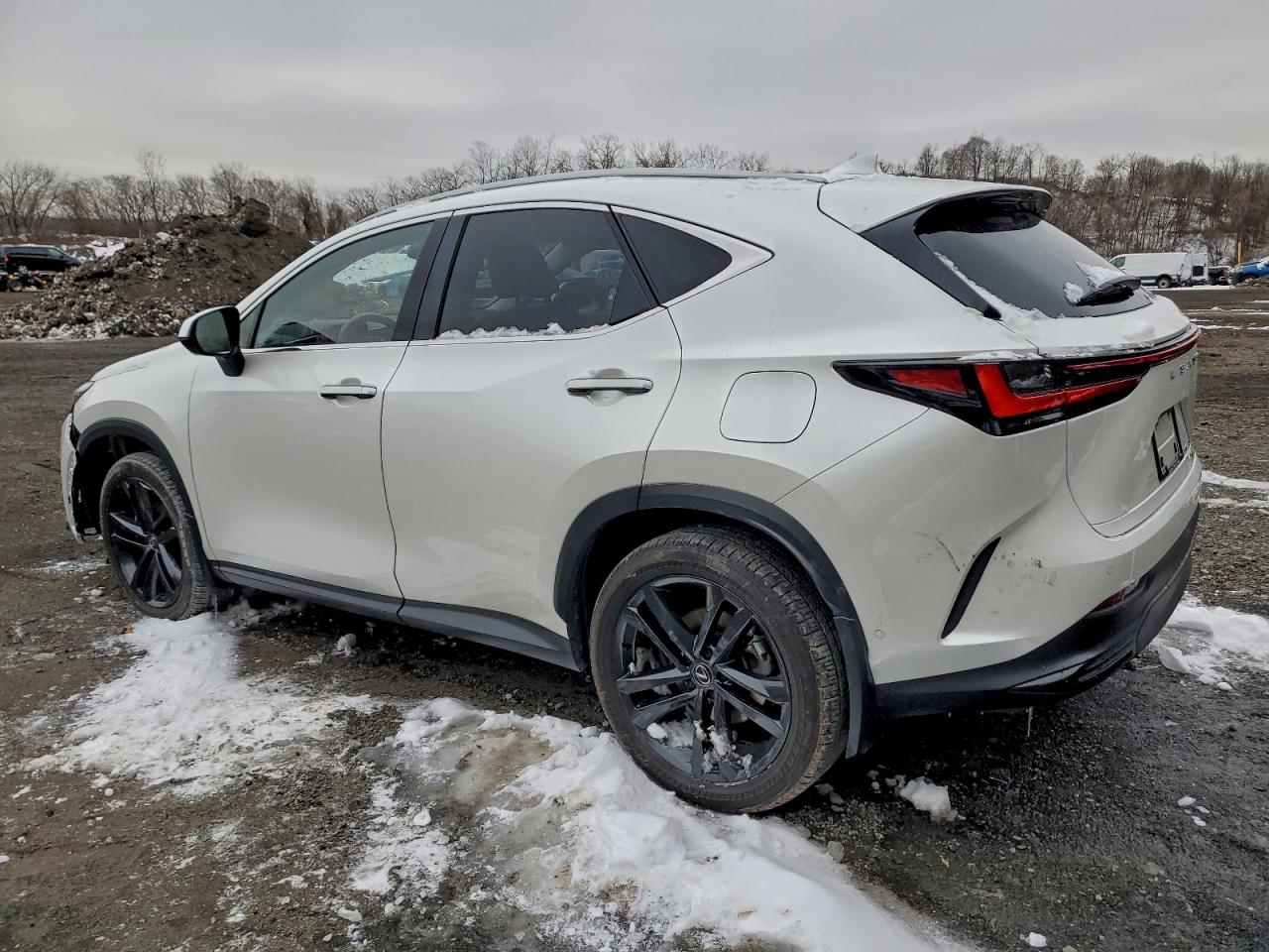 Lexus NX 450h Luxury Image 5