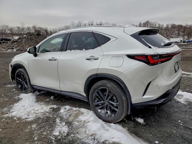 Lexus NX 450h Luxury Image 5