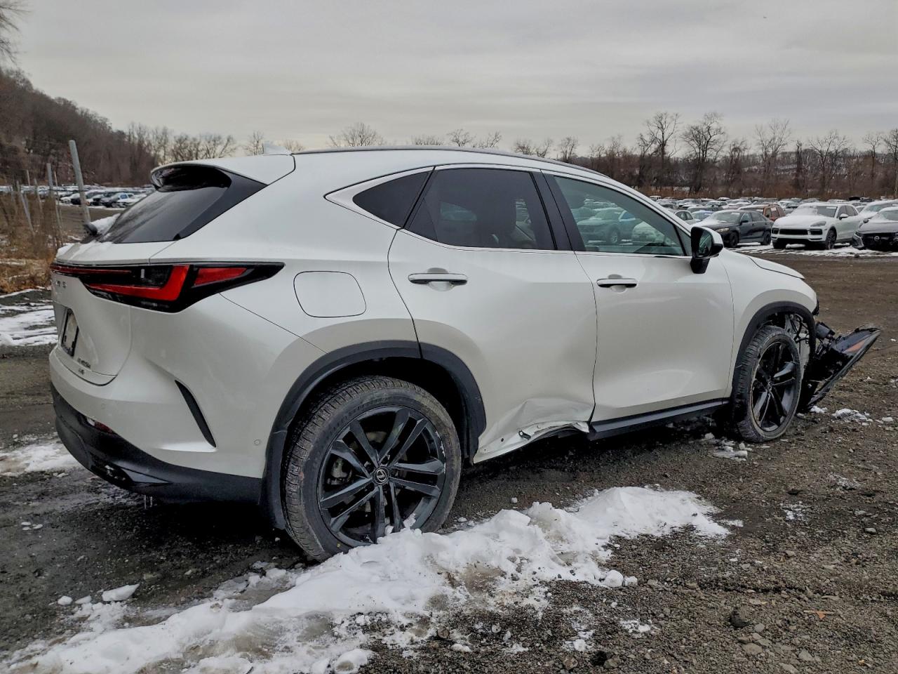 Lexus NX 450h Luxury Image 4