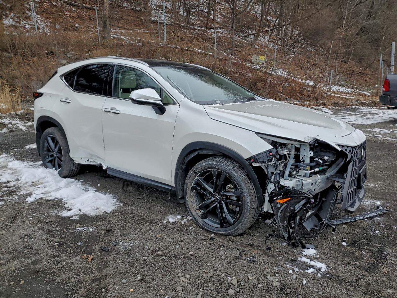 Lexus NX 450h Luxury Image 2