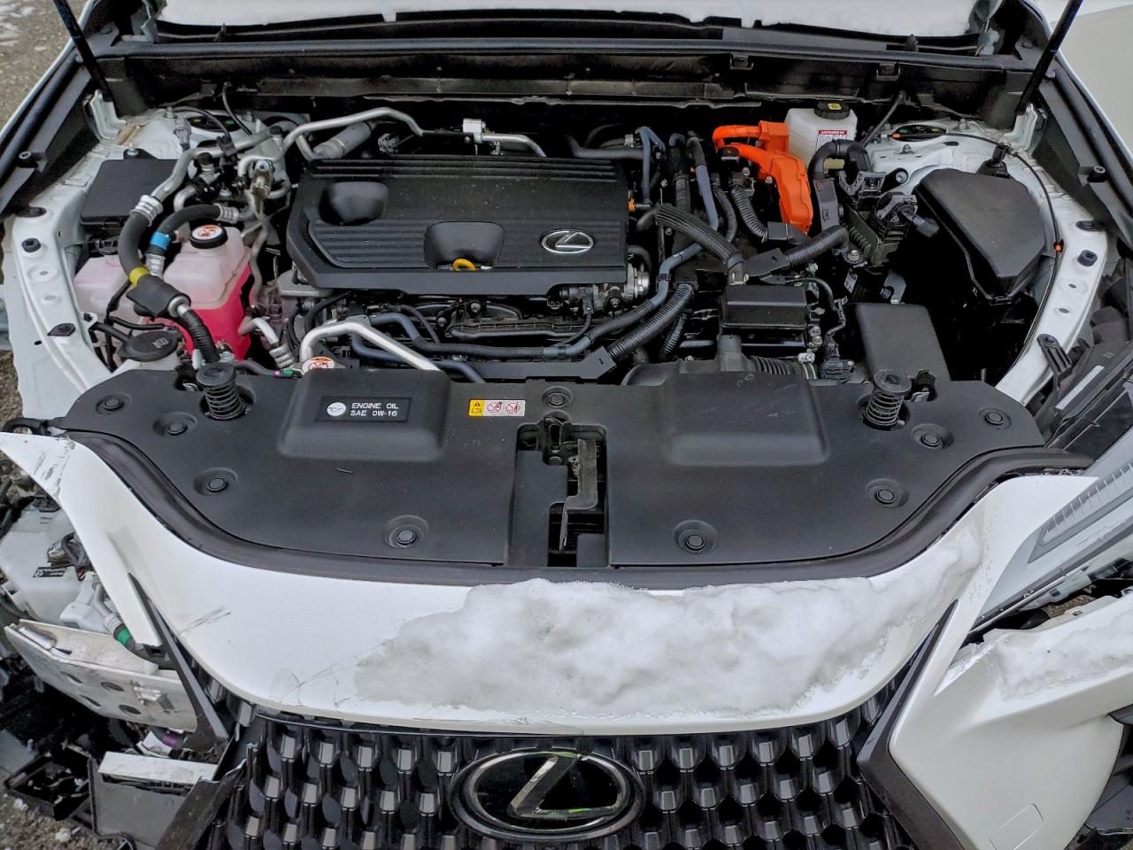 Lexus NX 450h Luxury Image 11