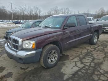  Salvage Dodge Dakota