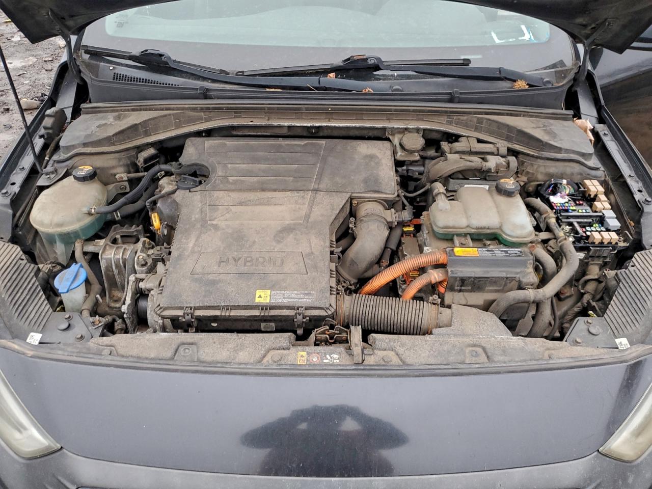 Hyundai Ioniq Limited Image 5