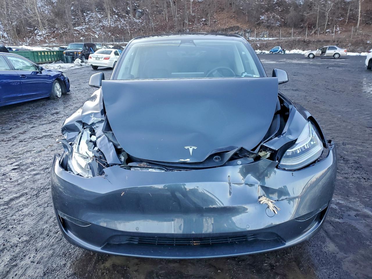Tesla Model Y Image 2