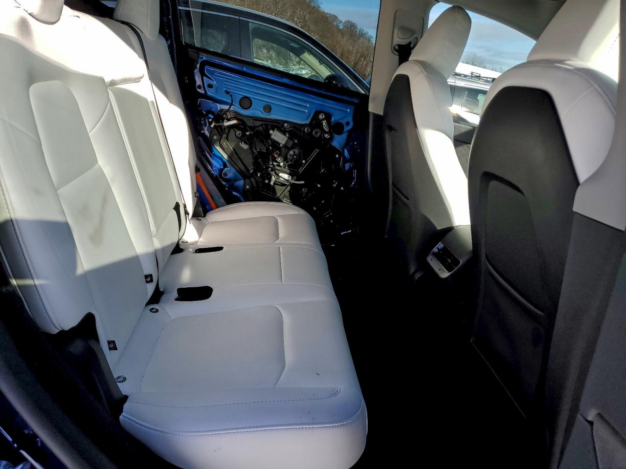 Tesla Model Y Image 7