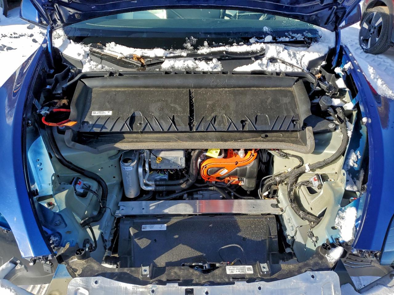 Tesla Model Y Image 11