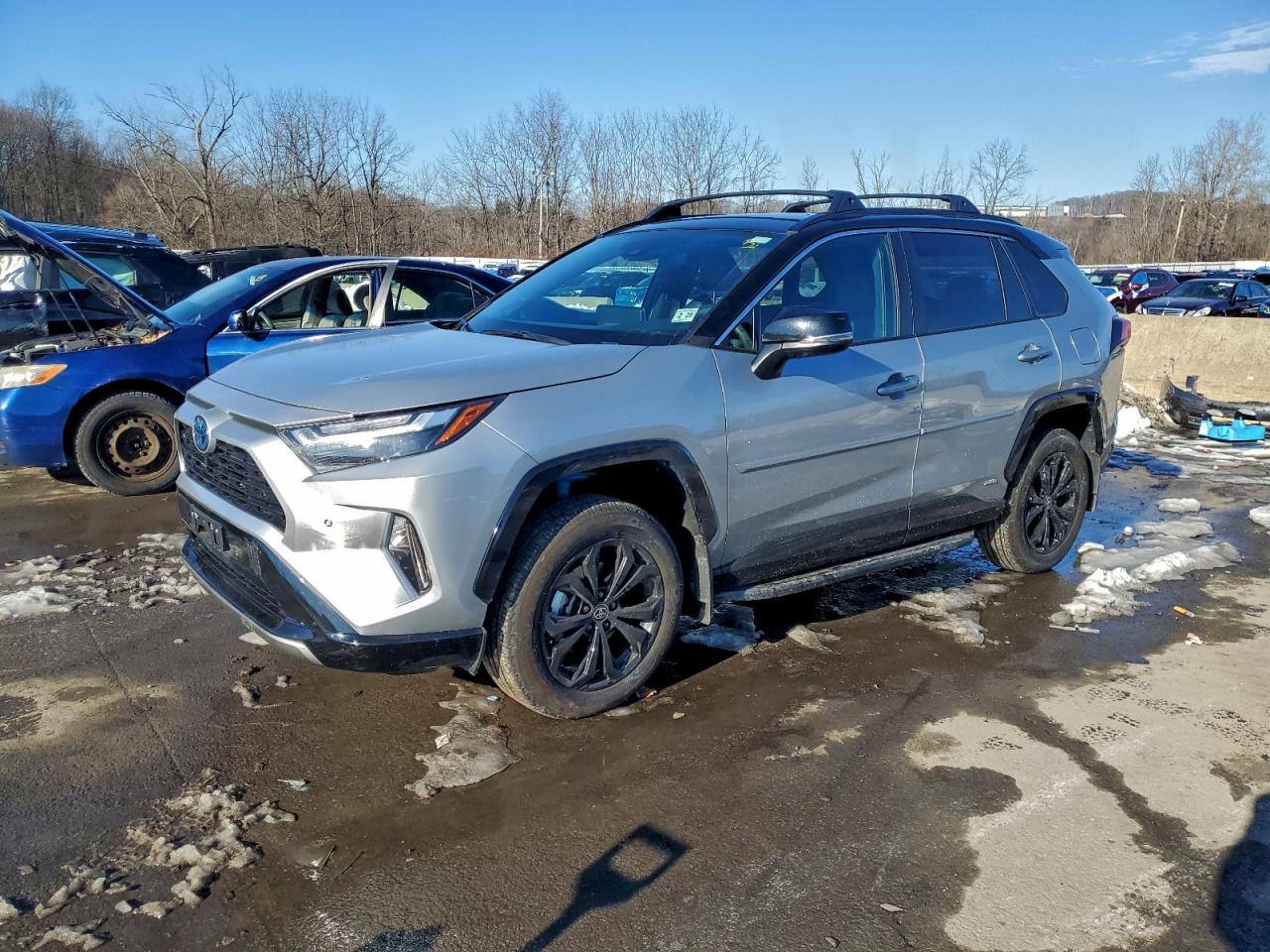 Toyota RAV4 Xse Image 1