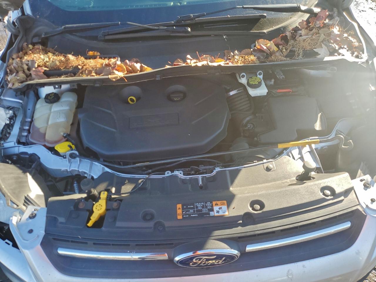 Ford Escape Se Image 5