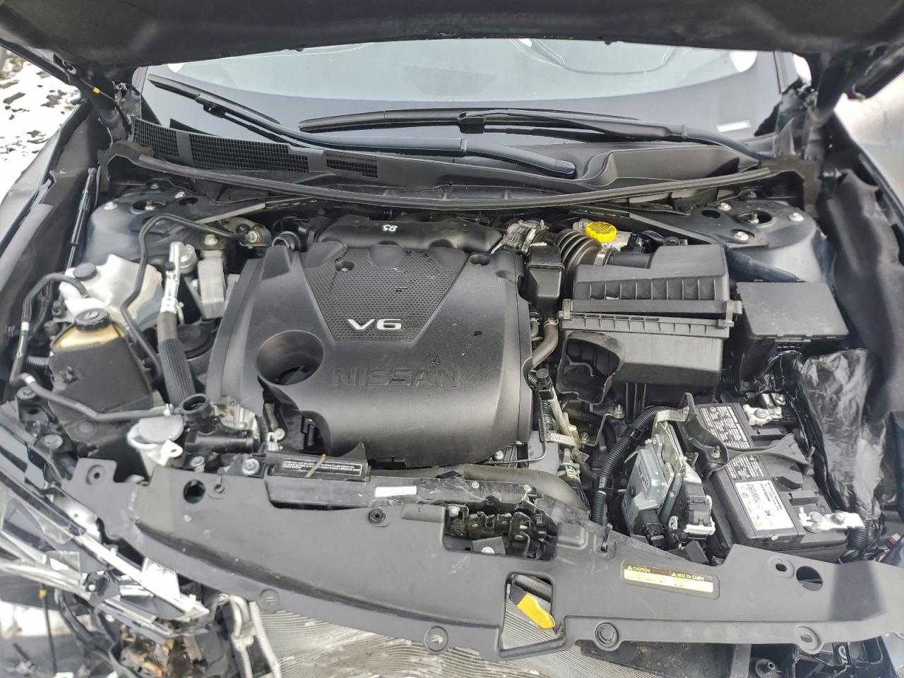 Nissan Maxima Platinum Image 5