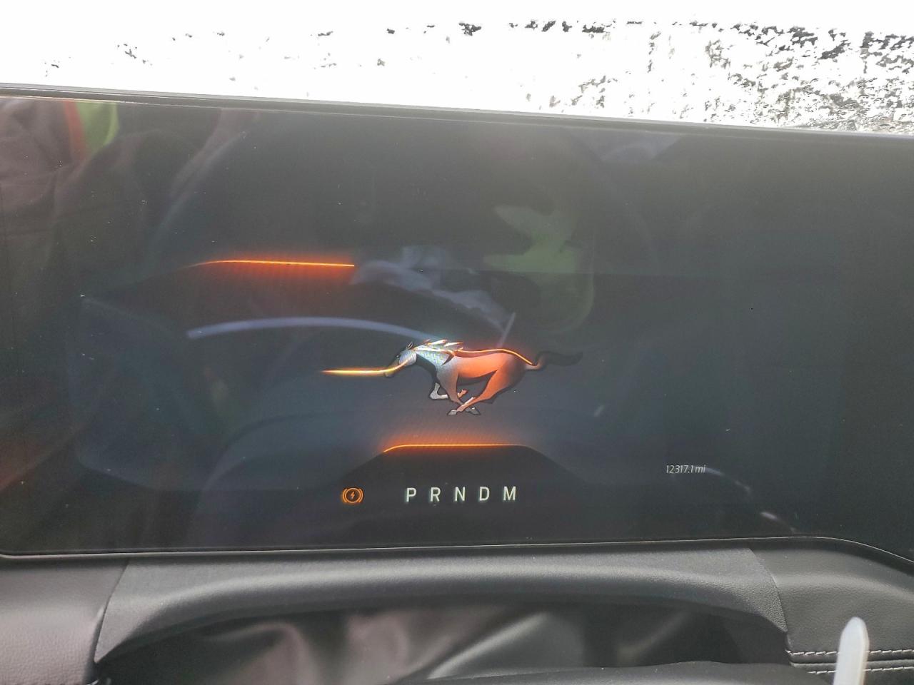 Ford Mustang Gt Image 12