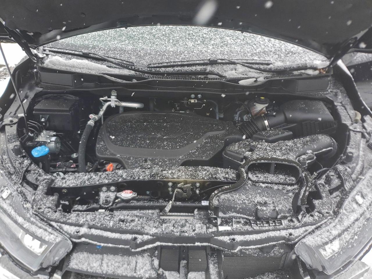 Honda Odyssey Exl Image 9